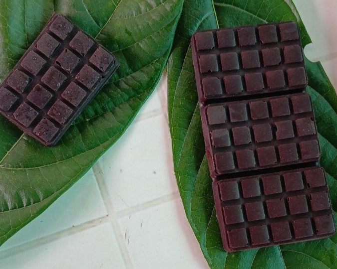 Renderización de una casa construida en un terreno plano con vegetación alrededor