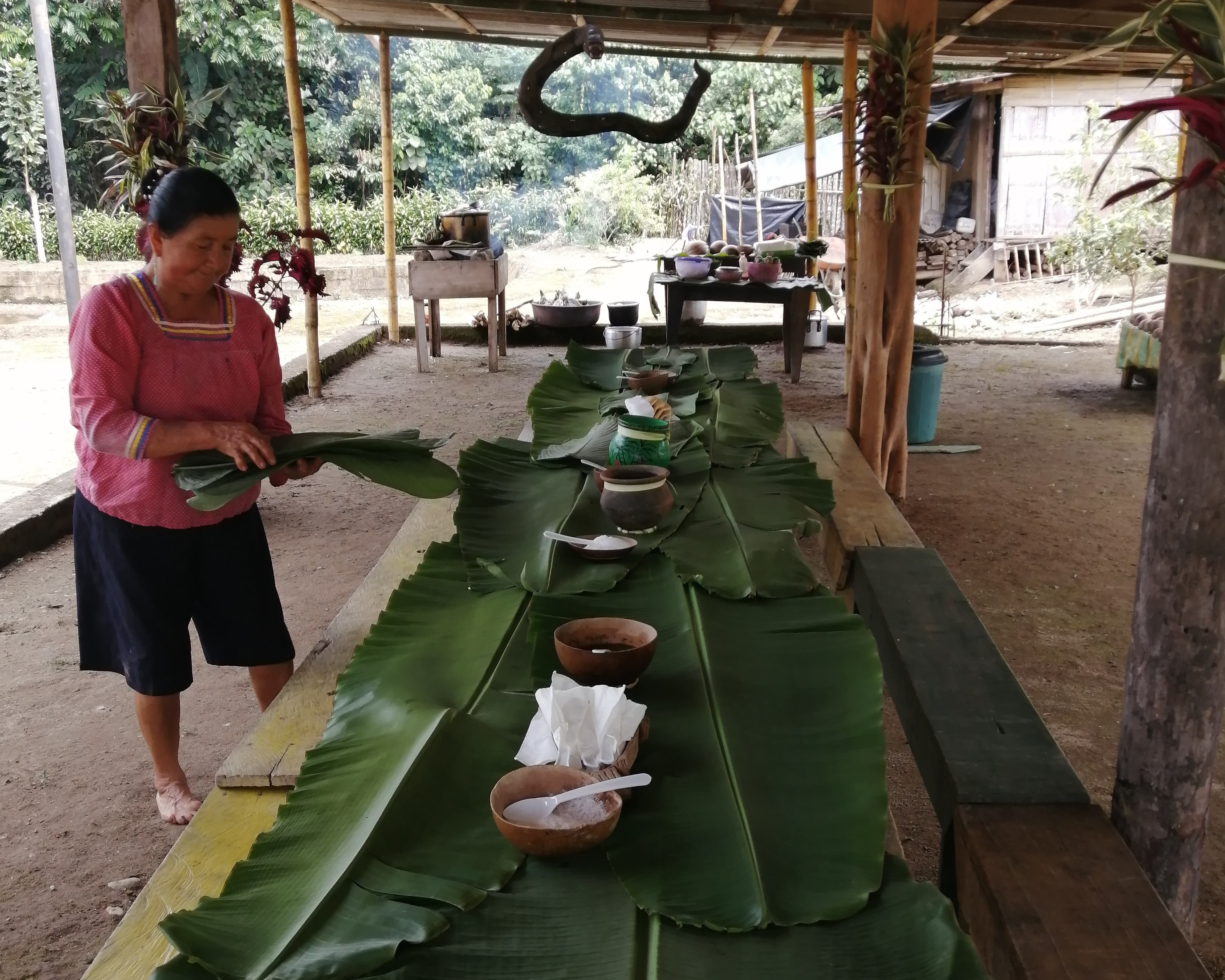 Renderización de una casa construida en un terreno plano con vegetación alrededor