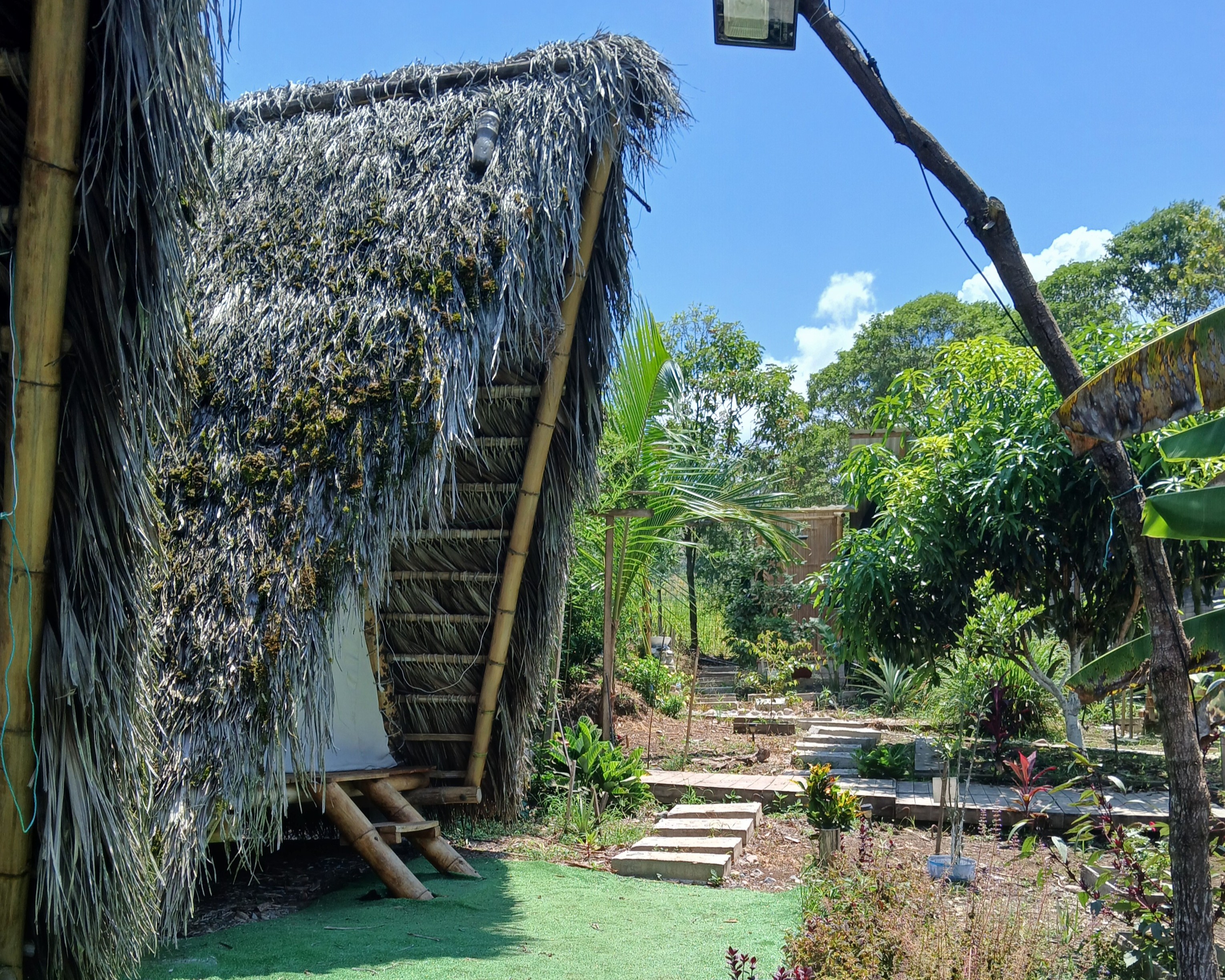 Renderización de una casa construida en un terreno plano con vegetación alrededor