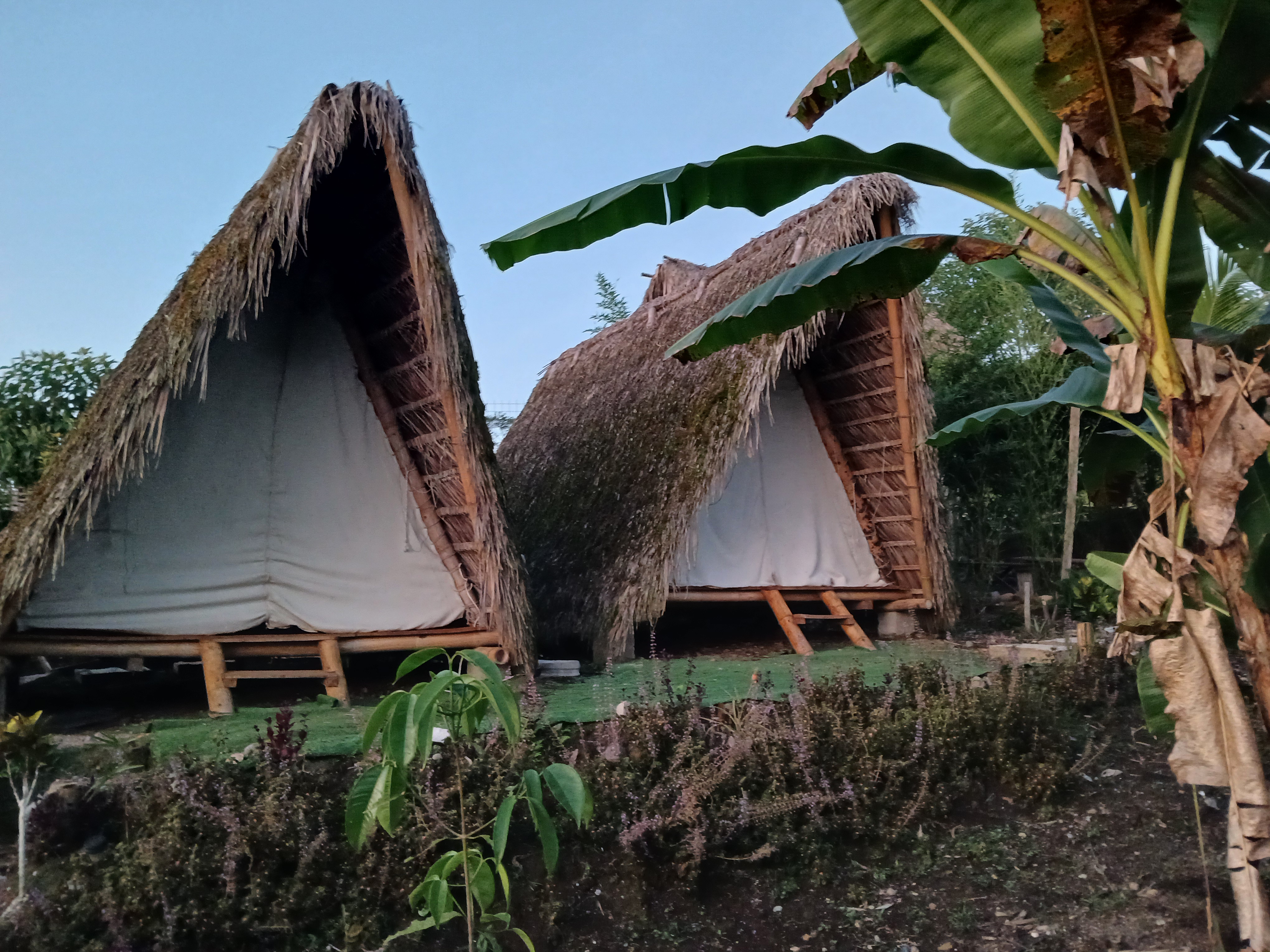 Logoipo de Colembas Wasi. Usa una tipografía asemejando el bambú y un pájaro.