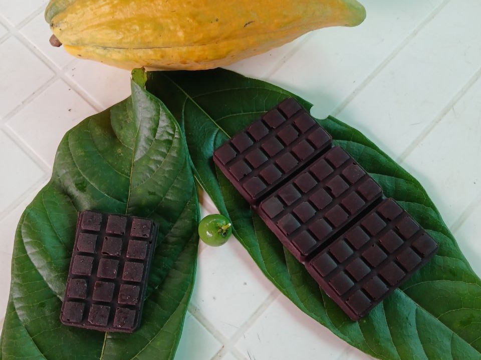 Logoipo de Colembas Wasi. Usa una tipografía asemejando el bambú y un pájaro.